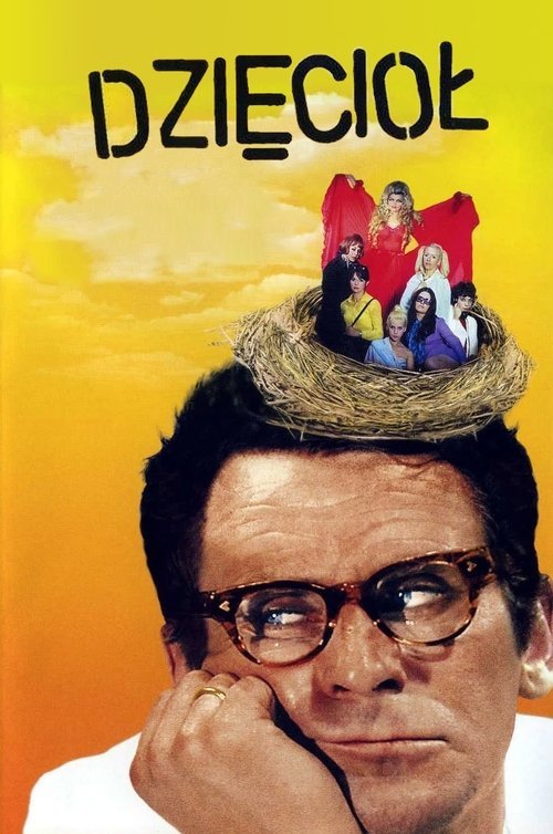 Poster for Dzięcioł
