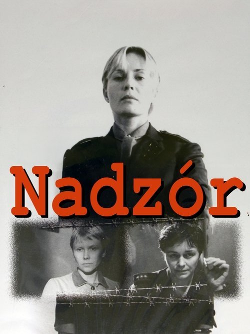 Nadzór