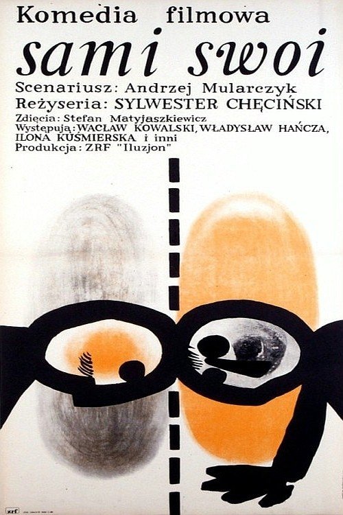 Poster for Sami swoi