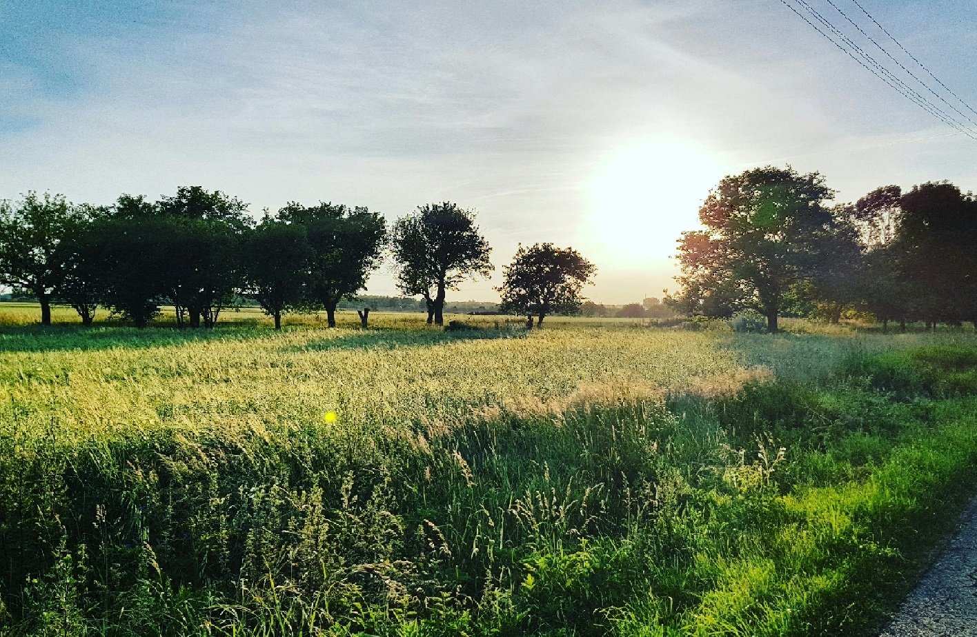 When Movies, Fashion, and Farmers' Associations Collide: A Unique Intersection of Industries